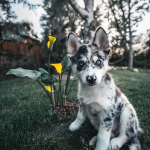 Meet your Posher, Andrej